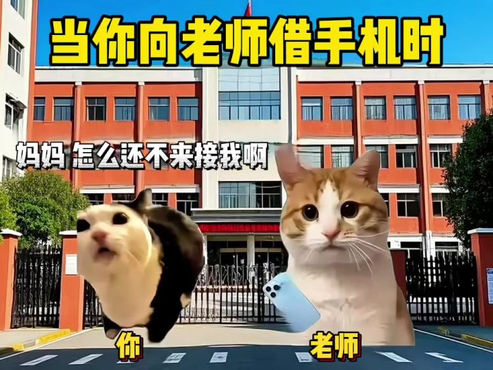 🤣我表弟的爆笑现场截图