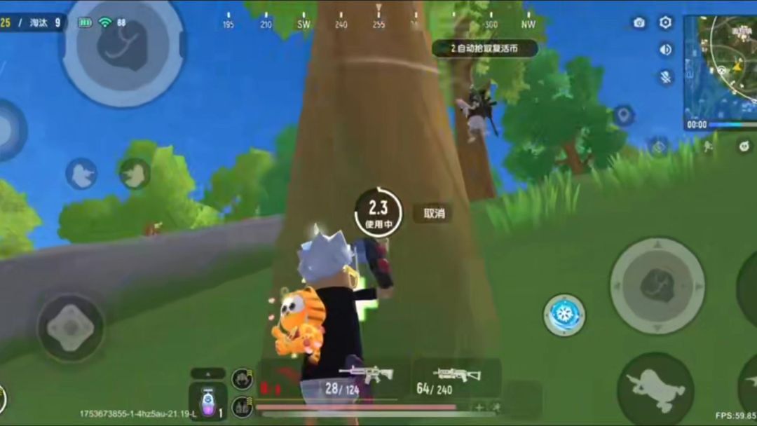 video-5268585