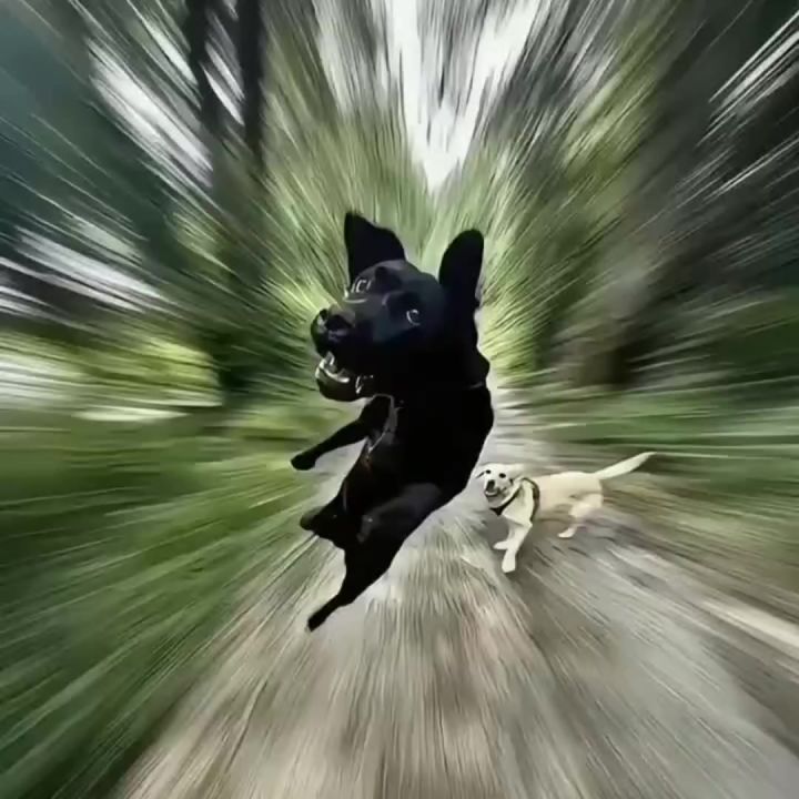 当你是一名桃子玩家截图
