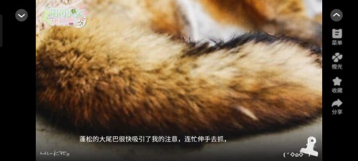 阴司少女执行官截图