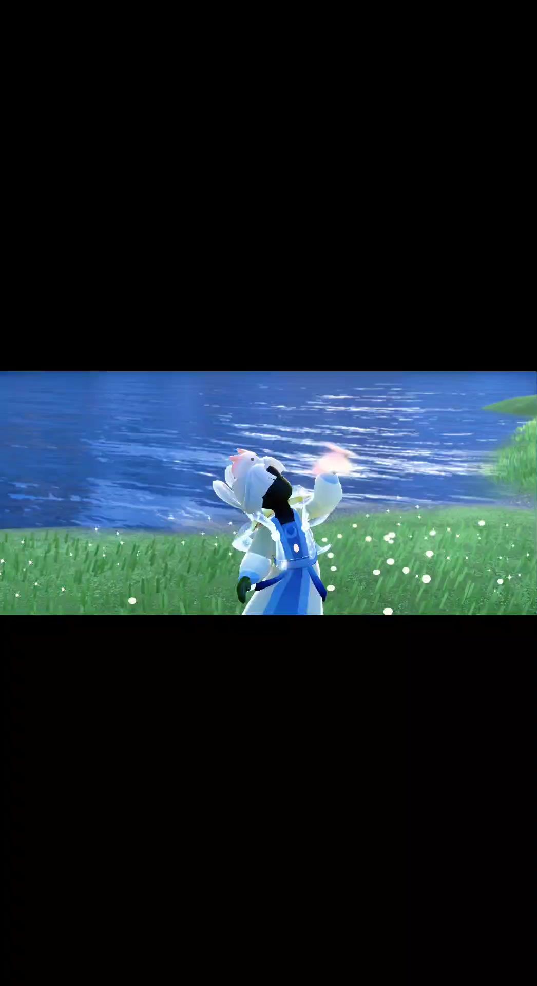 video-5272411