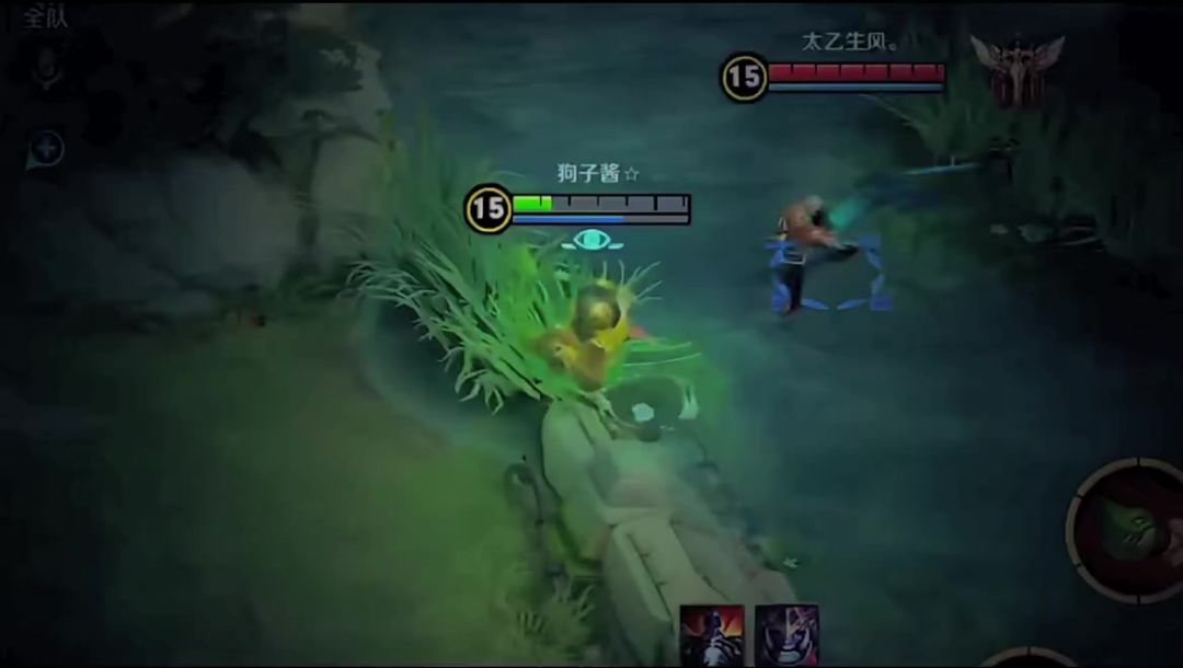 video-5274640