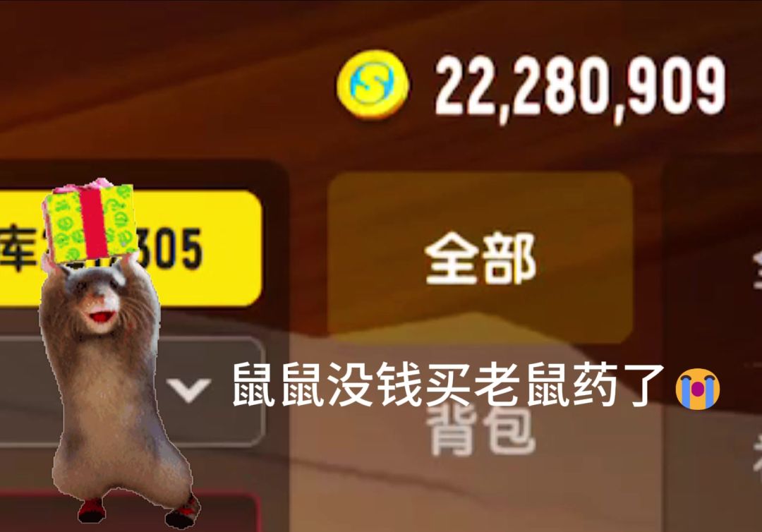 video-5276625