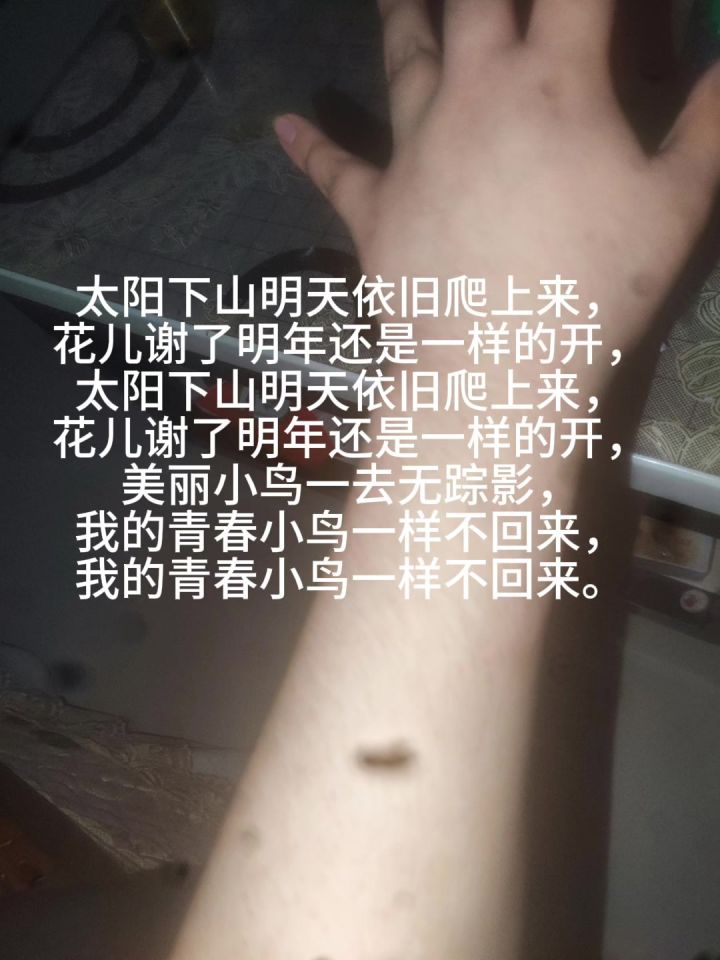 隋龙龙族的肤色...对应上一期截图