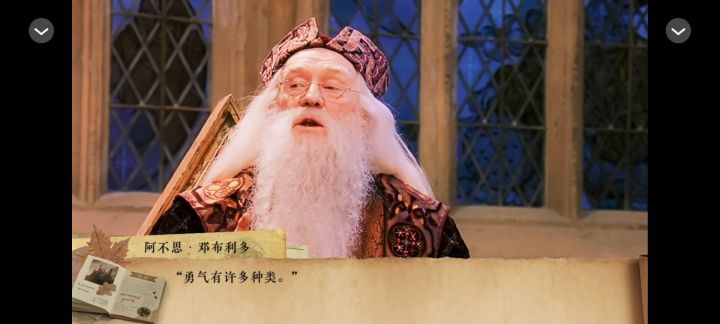 【HP】蓝鸟爱情截图