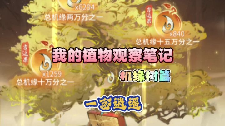 一念逍遥:我的植物观察笔记之机缘树篇截图