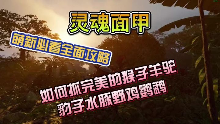 灵魂面甲新手教程截图
