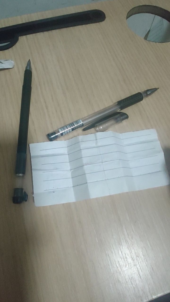 第五只虫子截图
