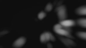 新英雄不知火舞即将上线