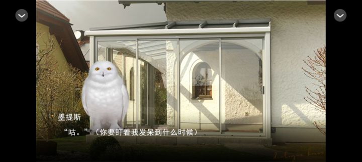 【HP】Stars 10.21截图