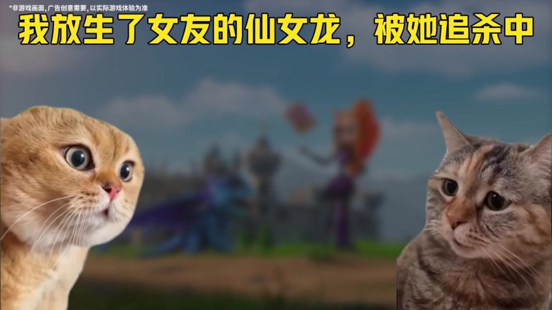 video-5299164