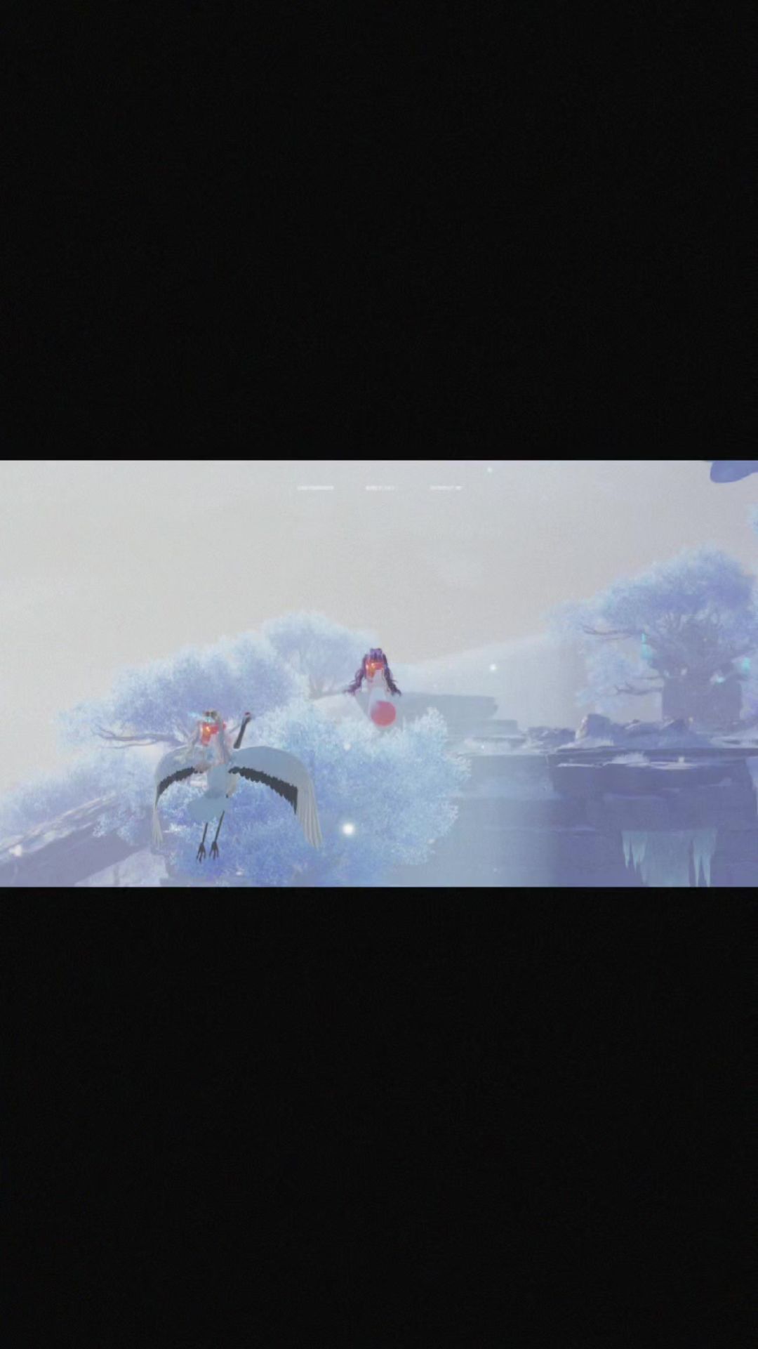 video-5301212