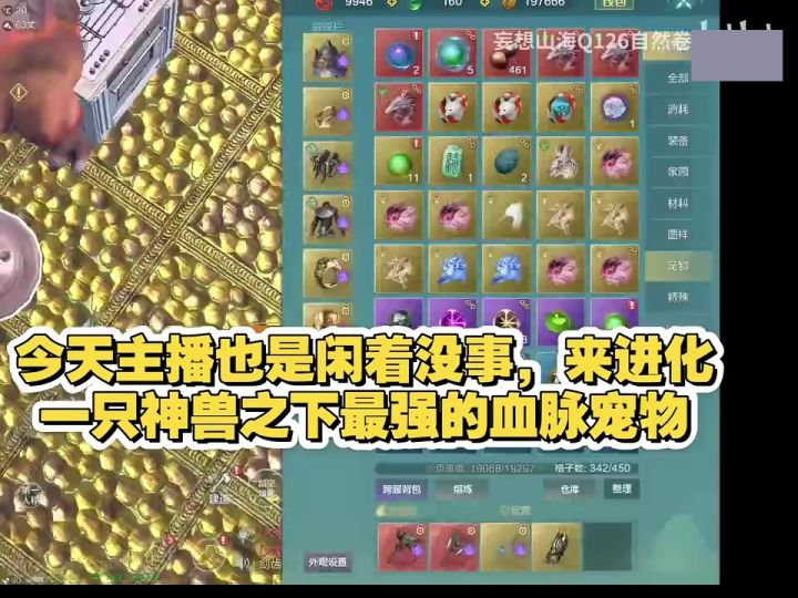 【宠物展示】神兽之下最强血脉野宠?竟然不是偏转!截图