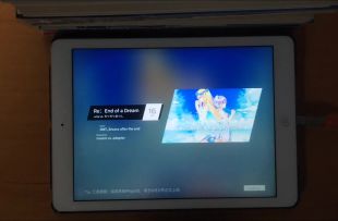 Re：End of a Dream AT 16 纯小拇指1pc 99.06%