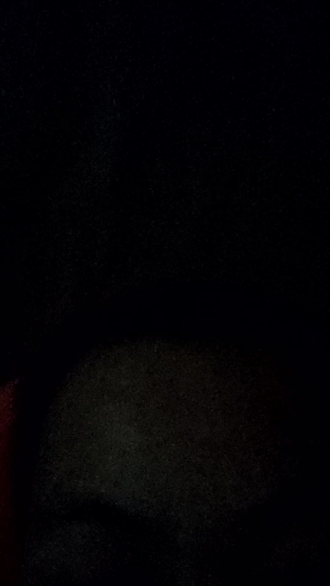 video-5305488