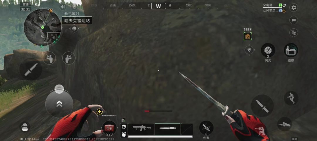 video-5305794