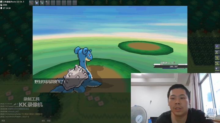 pokemmo口袋妖怪全球在线网游看我是怎么出闪的碰到闪光咕咕鸽了截图