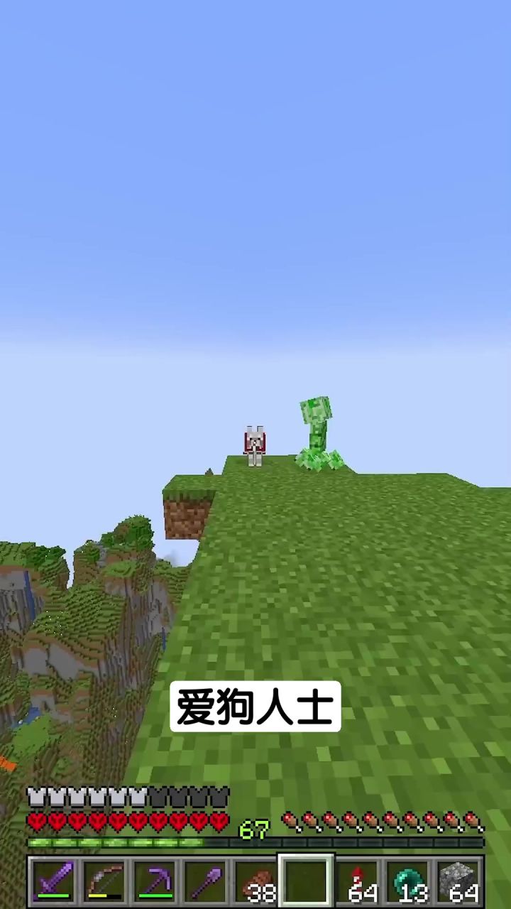 我的世界:爱狗人士截图