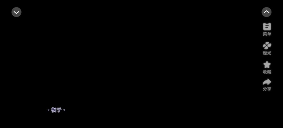 video-5309081