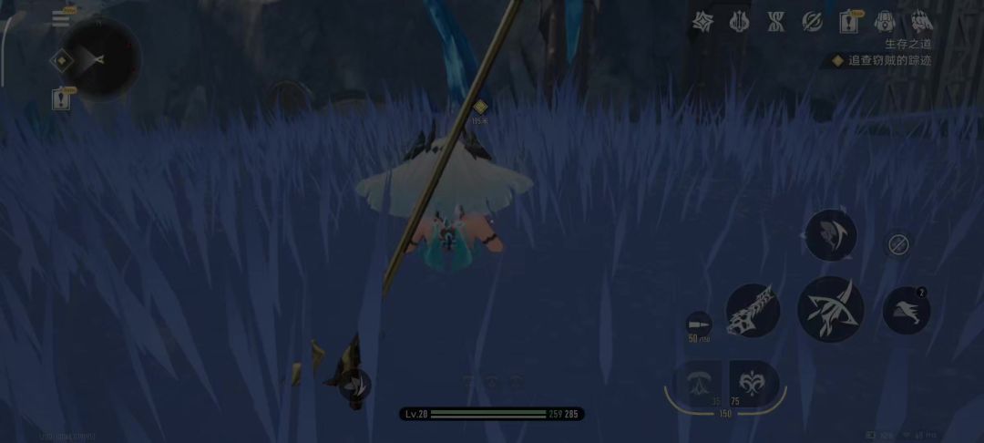 video-5311046