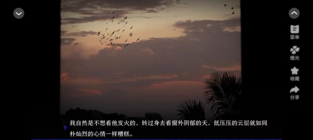 video-5313758