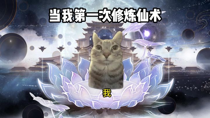 当我第一次修炼仙术截图