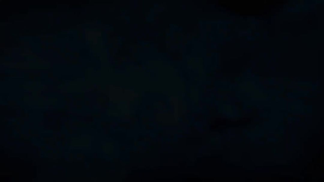 video-5318565
