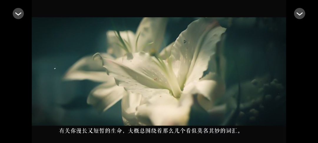 video-5323704