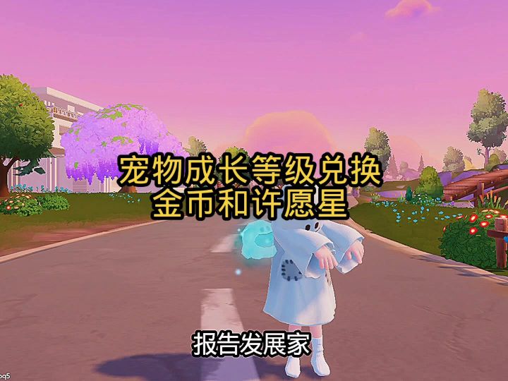 宠物成长等级可以兑换金币和许愿星截图