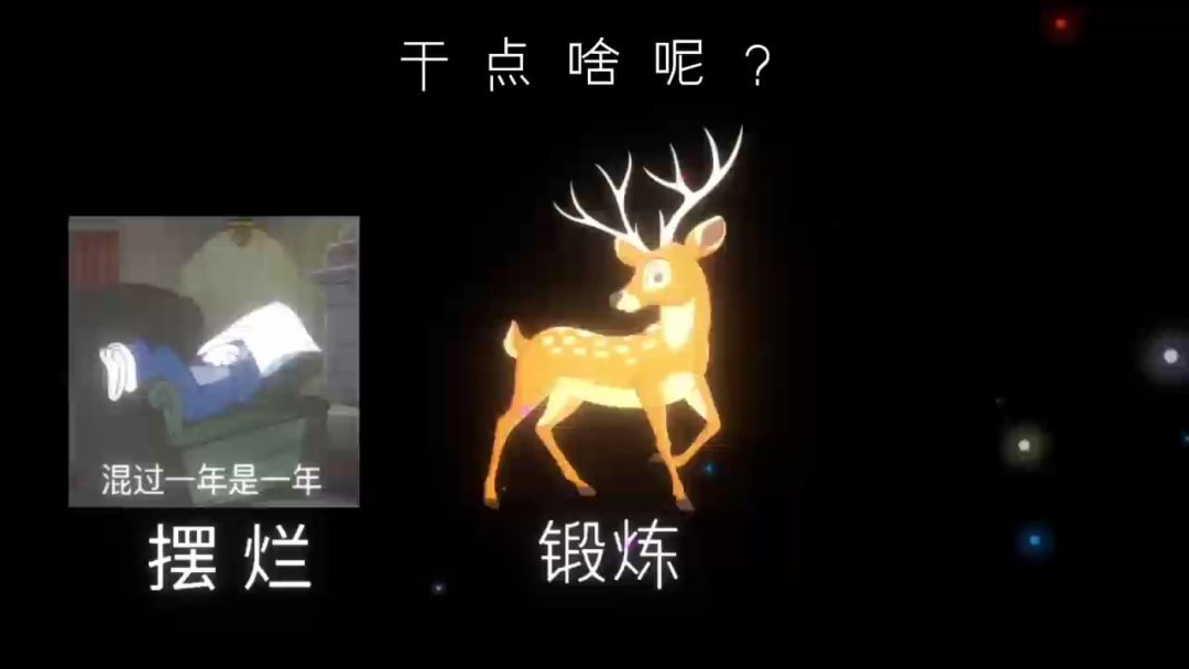 video-5326369