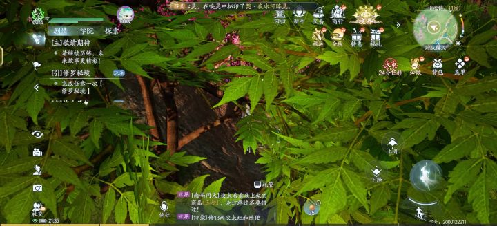 这个好真实!还以为手机什么时候拍的核桃树截图