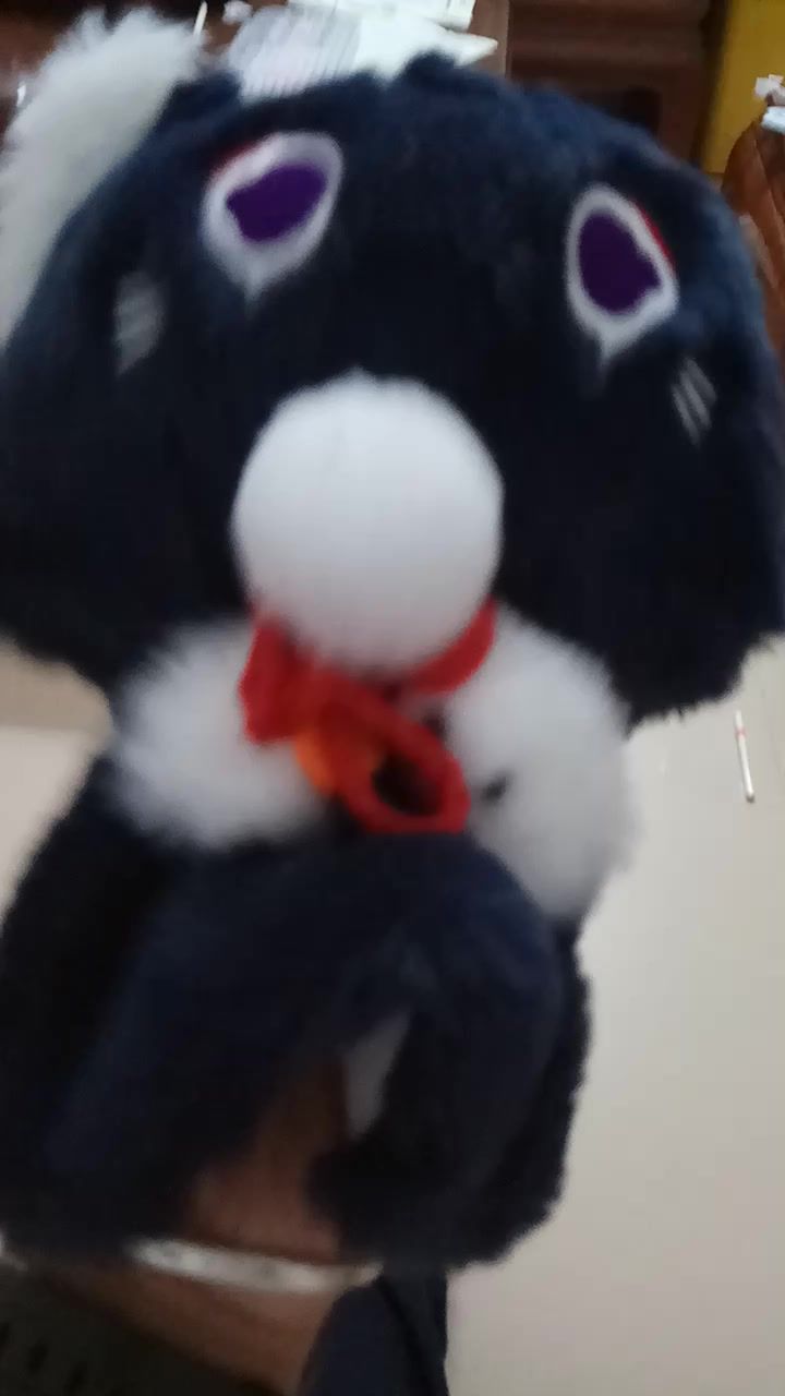 我的散猫猫截图