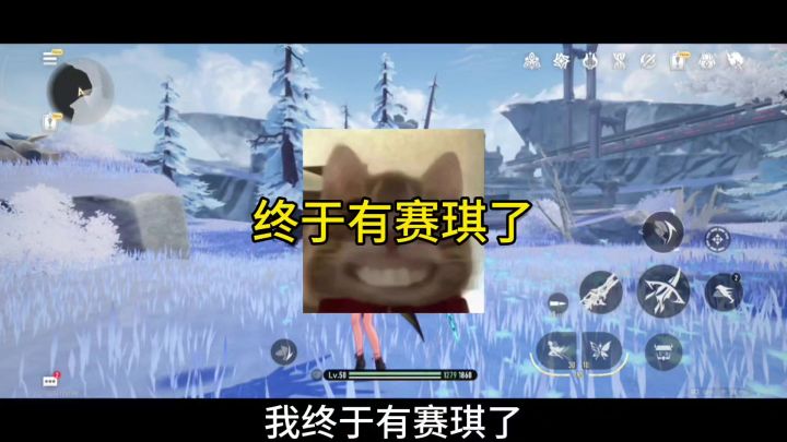 终于有赛琪了。截图
