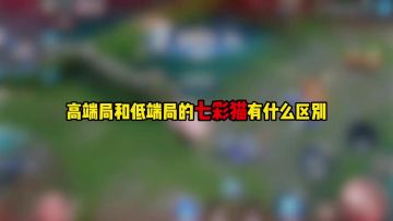 高端局和低端局的七彩猫有什么区别