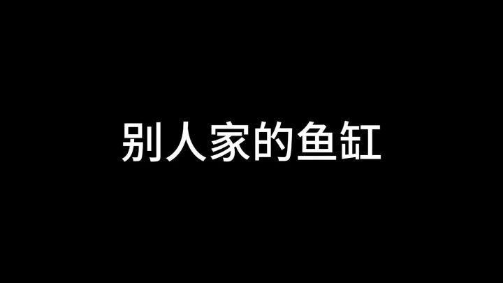 详细的萌新攻略来啦!截图