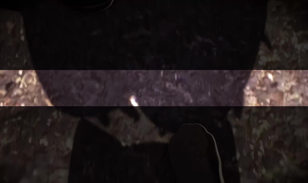 video-5345334