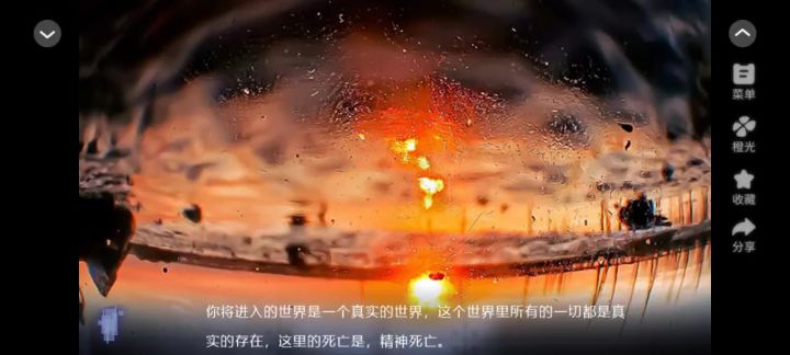 疯狂的兔子截图