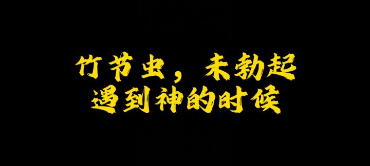 依旧竹节虫,萌新玩家的必选 cr:拉扯教主截图