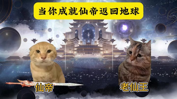 当你成就仙帝返回地球截图