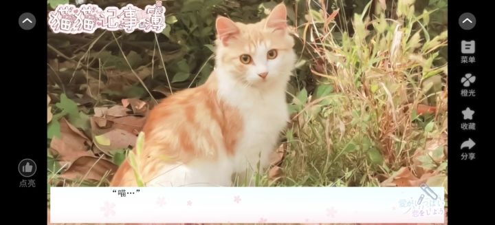 猫猫记事簿截图