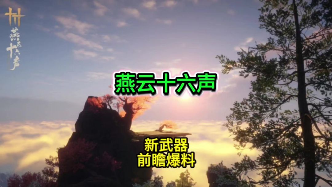 video-5352700