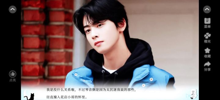 小猫收养手册截图