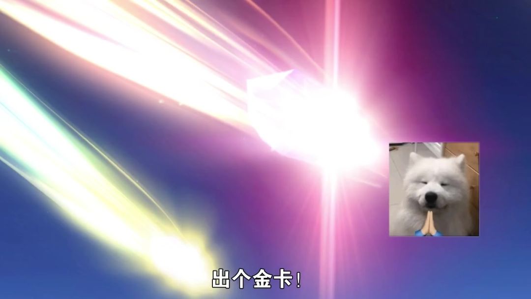 video-5354485