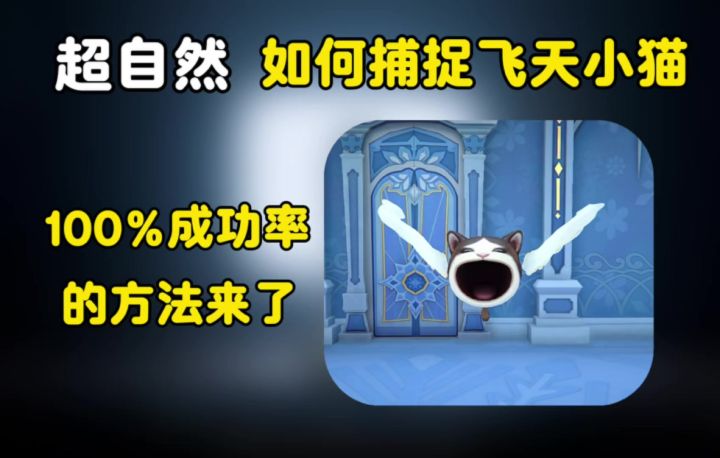 超自然飞天小猫捕捉攻略来了截图