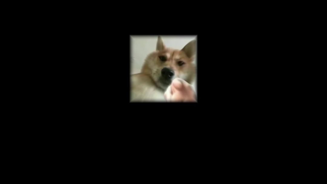 video-5354733