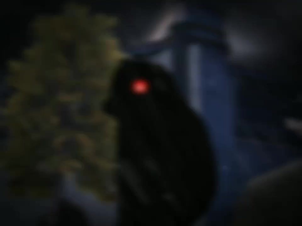 video-5356223