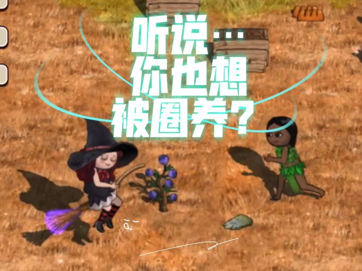 【万圣节限定玩法】硬控女巫四分多钟截图