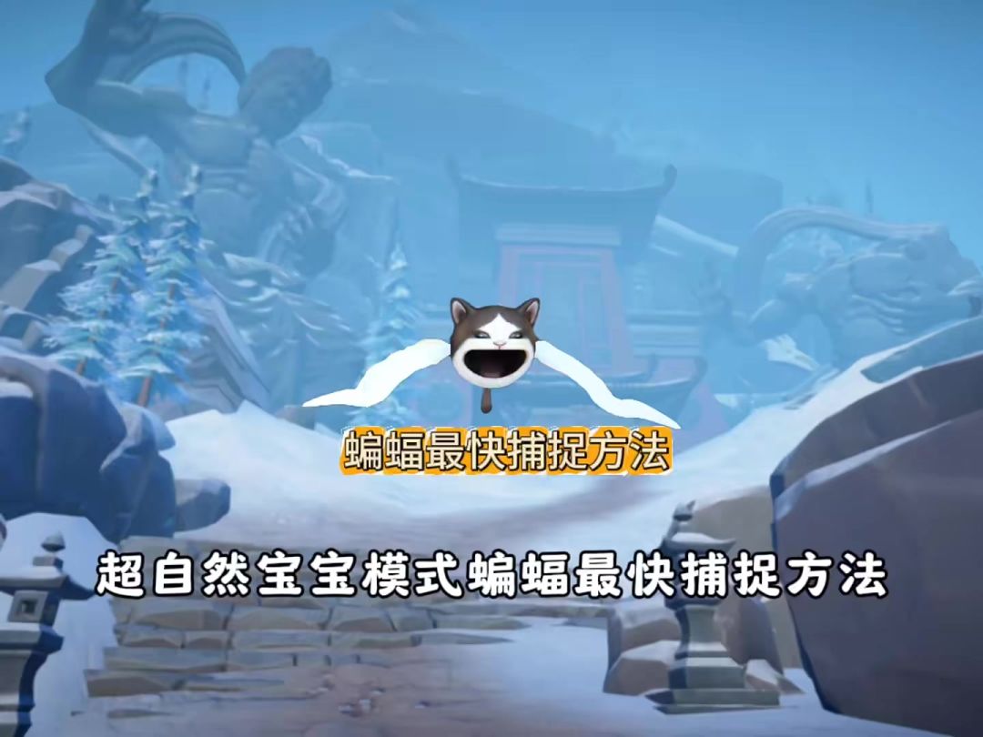video-5356720