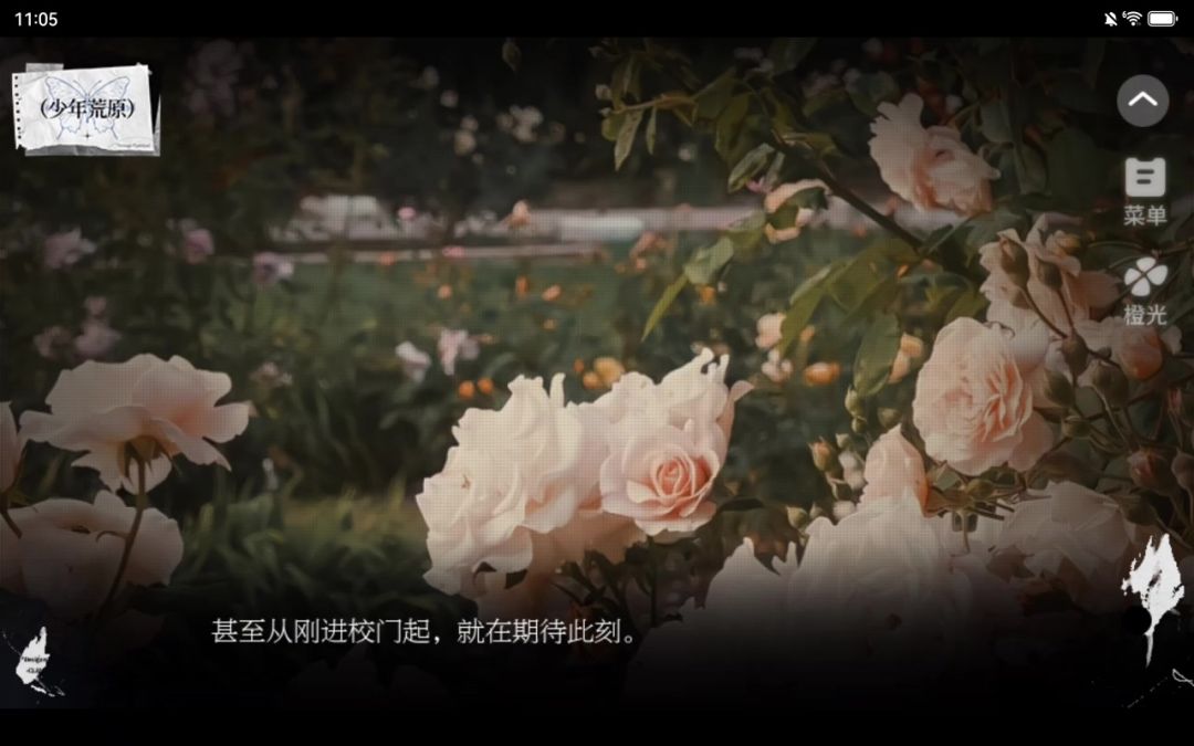 video-5357963