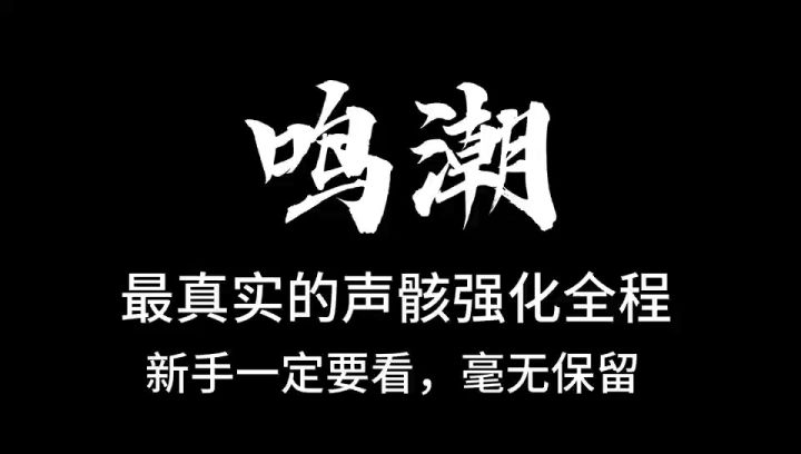 鸣潮,最真实的声骇强化全程截图